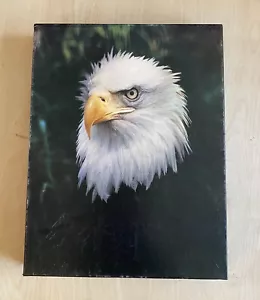 Vintage Springbok Puzzle American Pride Eagle 500 Piece Complete - Picture 1 of 5