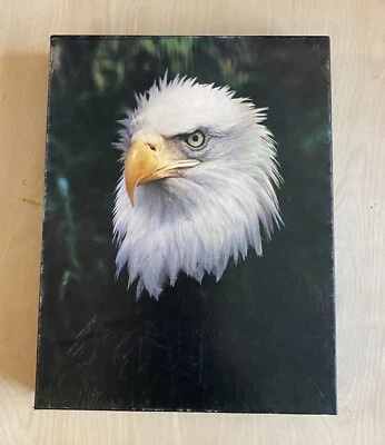 Vintage Springbok Puzzle American Pride Eagle 500 Piece Complete - Image 1 of 4