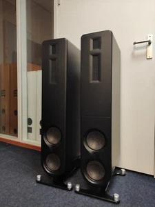 PS Audio Aspen FR10, altoparlanti di fascia alta, incl. scatola originale, espositore nuovo - Foto 1 di 7