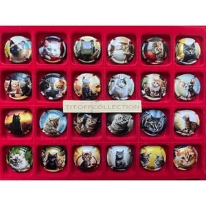 la série de 24 capsules de champagne génériques chats (avril 2025) - Foto 1 di 1
