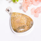 Natural Fossil Coral Gemstone Ethnic 925 Sterling Silver Pendant 1.7" RA-5562