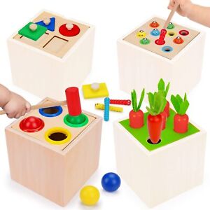 Wooden Montessori Toys - Pound A Ball Carrot Harvest Catch Insect Shape Puzzles