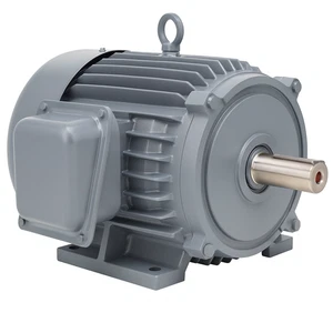 TECO NP0024 2HP 1800RPM 145T TEFC 230/460V Electric Motor NEW INVENTORY - Picture 1 of 1