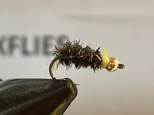 Fly Fishing Flies EURO Caddis Midge Tungsten 2.0 mm #18 or #16HK 12 Pcs XFLIES - Picture 1 of 2