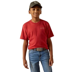 Ariat Youth Boy's Patriot Buffalo Coin Brick Red T-Shirt 10062407 - Picture 1 of 24