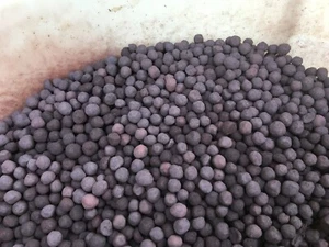 Taconite Iron Ore Pellets from Minnesota Iron Range 5 Pounds - Picture 1 of 3
