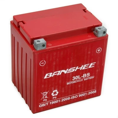 AGM Battery High Performance for Harley Davidson Touring GYZ32HL 500CCA -Blemish Foto 1 de 4