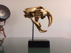 Hot cast bronze sculpture, Saber-toothed Tiger Skull