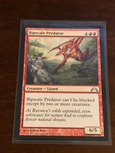 Magic the Gathering Gatecrash Ripscale Predator - Picture 1 of 2