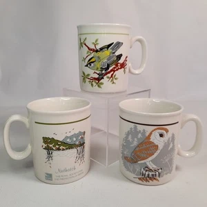 3 X RSPB Wren Goldcrest Barn Owl Made in England Mug Set Of Three Tea Coffee - Picture 1 of 16