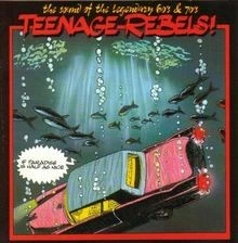 Teenage Rebels - If Paradise is half as nice (60s  70s)... | CD | Zustand gut - Bild 1 von 2