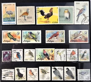 Bird Stamps From Around the World - Sold as Seen in Photo - U/VF/NH Birds Fauna - Picture 1 of 2