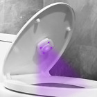 UV Sanitizer: Toilet Disinfection Lamp with Ozone for Auto Sterilization
