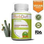 Hoodia Gordonii 20:1 Extract Capsules Boosts Energy Fat Burner Suppresses Hunger