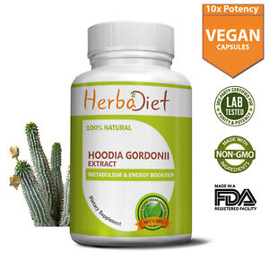 Hoodia Gordonii 20:1 Extract Capsules Boosts Energy Fat Burner Suppresses Hunger