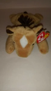 'Derby the Horse' Ty Beanie Baby Retired 1995 NEW Rare - Picture 1 of 10