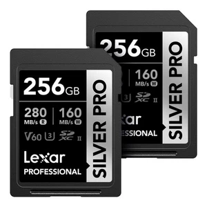 256GB (2-PK) Professional SILVER PRO SD Card, UHS-II, C10, U3, V60, Full HD, ... - Picture 1 of 7