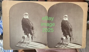 1876 Philadelphia OLD ABE, Wisconsin Civil War EAGLE & American Flag STEREOVIEW - Picture 1 of 4