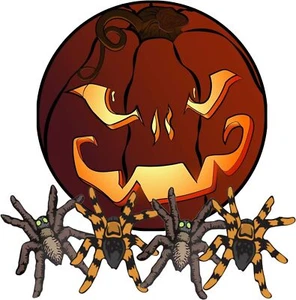Jack O Lantern with Black and Orange Spiders Holiday Pack of 5 Magnetic Decals - Picture 1 of 6