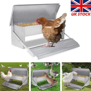 Automatic Chicken Feeder Galvanized Treadle Poultry Auto-Feeder Outdoor Garden - Picture 1 of 10
