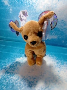 Ty Beanie Babies Tiny the Chihuahua 1999 con etiqueta - Imagen 1 de 5