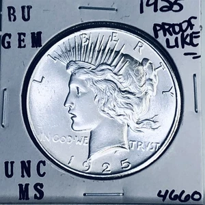 1925 P BU GEMMA PACE DOLLARO ARGENTO UNC MS+++ MONETA RARA ZECCA USA 4660 - Foto 1 di 3
