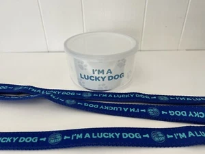 New York Lotterie LUCKY DOG Napf & Hundeleine Preispaket - BRANDNEU Welpe Haustier SPASS - Bild 1 von 7