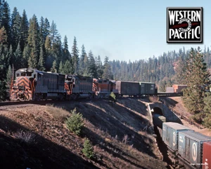 Western Pacific at Williams Loop Photo Metal Sign - Bild 1 von 1