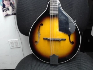 Washburn M1K-a Mandolin (EZ1005523) - Picture 1 of 5