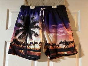 Men’s Swim Trunks In Very Good Pre-owned Condition! - Picture 1 of 3