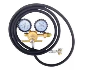VÁLVULA DE HERRAMIENTA DE RELLENO DE CHOQUE REGULADOR DE NITRÓGENO 800 PSI Regulador de nitrógeno sin mandril 8' MANDRIL - Imagen 1 de 5