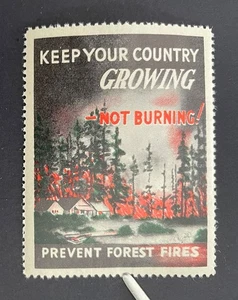 Sello póster de prevención de incendios forestales - ¡Mantén tu país creciendo, no ardiendo! MNH - Imagen 1 de 1