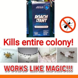 2pcs Powerful Roach Ant Pest Outdoor & Indoor 10ml - Wipe out the entire colony - Picture 1 of 5