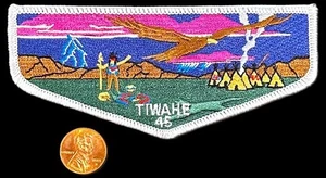 BOY SCOUT BSA OA TIWAHE 45 436 532 DESERT PACIFIC CA S1a FF FIRST FLAP MINT! - Picture 1 of 4