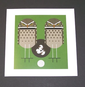 Charles/Charley Harper Notecards "Birdie" confezione da 4 con buste - Foto 1 di 2