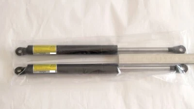 2x New 30Q3 Gas Springs for Top Lid Cover Door – Screen PT-R B2 CTP Platesetter