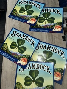 Etichette cassa ORIGINALI vintage marca trifoglio arance Sunkist 5 totali! 11 x 10" - Foto 1 di 4