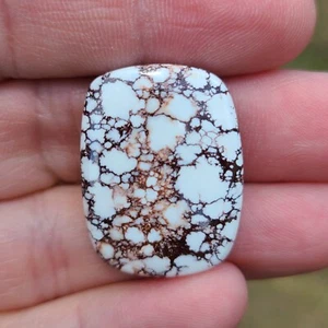 NATURAL WILD HORSE MAGNESITE CAB CABOCHON ARIZONA USA - Picture 1 of 4