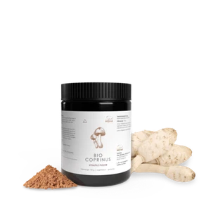 Pilze Wohlrab | Bio Coprinus Pulver 100 g | Höchste Bio-Qualität - Bild 1 von 7