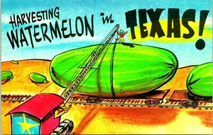 Harvesting Watermelon in Texas Exaggerated Comic RR Flatbed Car Vtg Postcard E1 - Picture 1 of 2