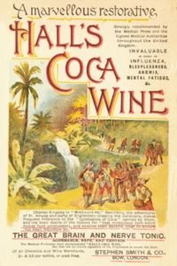 Hall's Coca Wine Advertisement Ad Tonic Patent Medicine Poster Art Print 24 x 36 - Picture 1 of 1