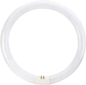 Osram kreisförmige Leuchtstoffröhre T9 40W G10q 4-polig 406 mm Tageslicht 6500K - Bild 1 von 2