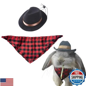 Cute Rabbit Cowboys Hat and Scarf Set, Funny Rabbits Pet Cowboy's Hat Scarf O - Bild 1 von 5