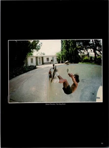 1978 • Revista Steve Piccolo impresión recorte • Monopatín años 70 ADS-68 - Imagen 1 de 2