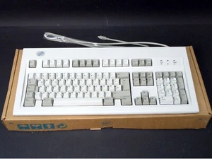 Nuova tastiera IBM Model M QUERTZ 1391403 MFD 1999 una delle ultime! PS/2 - Foto 1 di 5