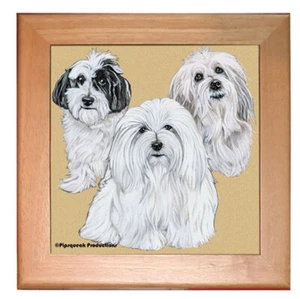 Coton De Tulear Dog Kitchen Ceramic Trivet Framed in Pine 8" x 8" - Picture 1 of 1