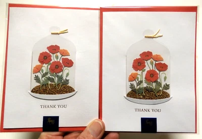 2 Tarjetas Niquea.D Gracias Cloche Terrario de Plantas Eres tan Pensativo Foto 1 de 4