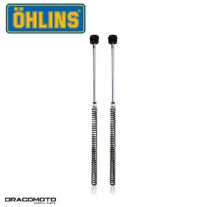 Kit Cartuccia HONDA Z 125 Monkey 2018-2021 OHLINS anteriore FDK 112 - Imagen 1 de 7