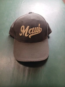 Gorra de camionero Maui Hawaii ajustable verde vintage - Imagen 1 de 6