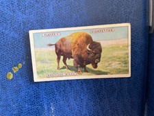 NATURAL HISTORY JOHN PLAYER & SONS AMERICAN BISON 8